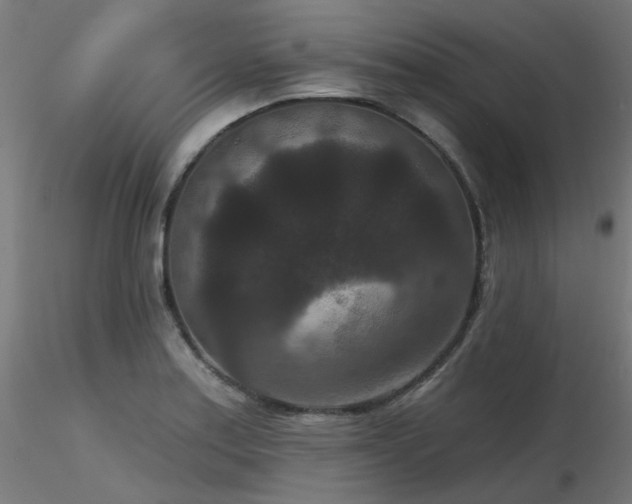 X0000116771179200912171526