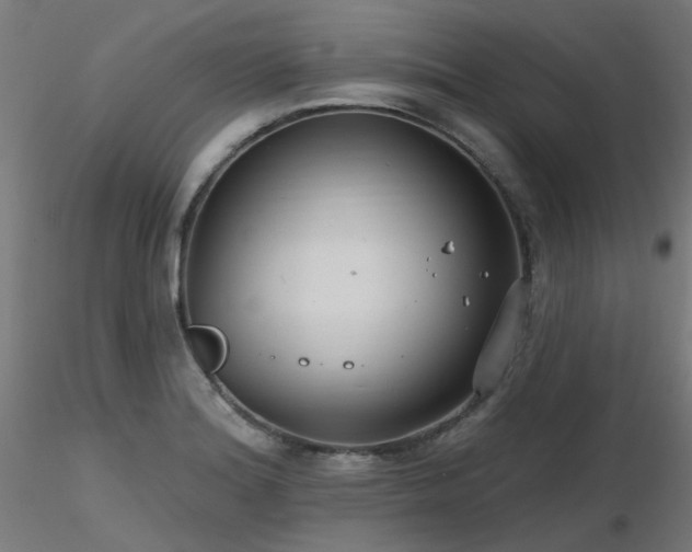 X0000116771180200912171526