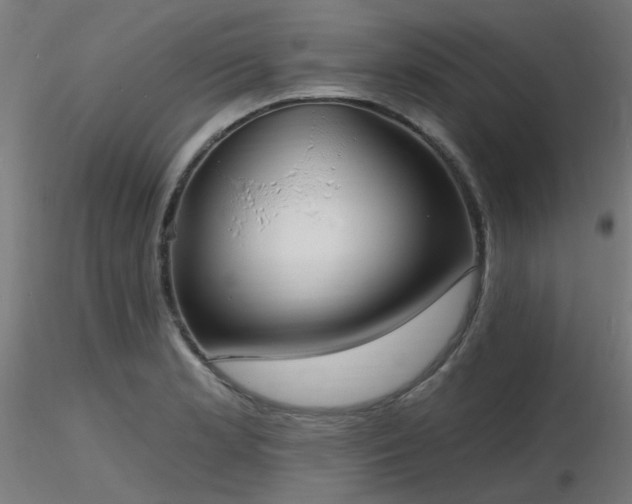 X0000116771181200912171526