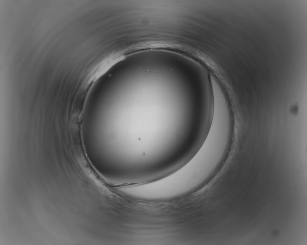 X0000116771185200912171526