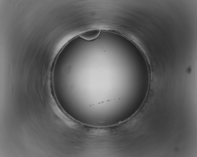X0000116771187200912171526