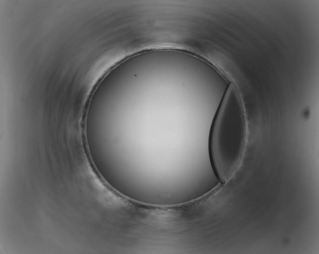 X0000116771189200912171526