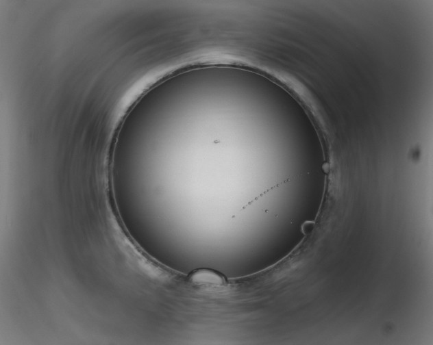 X0000116771191200912171526