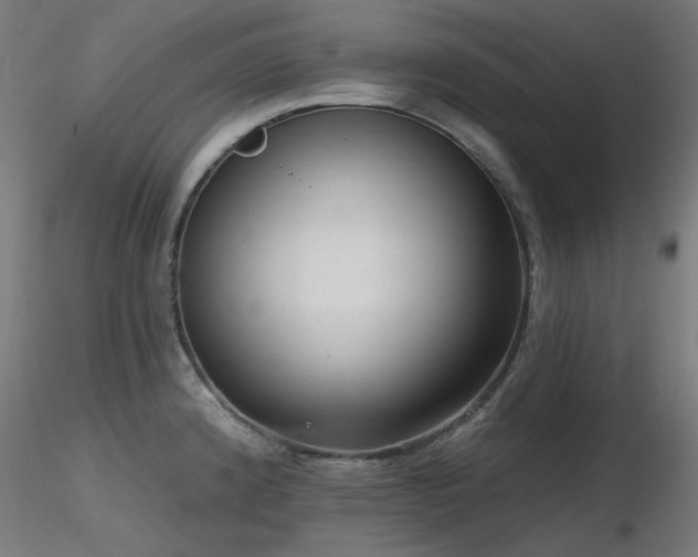 X0000116771192200912171526