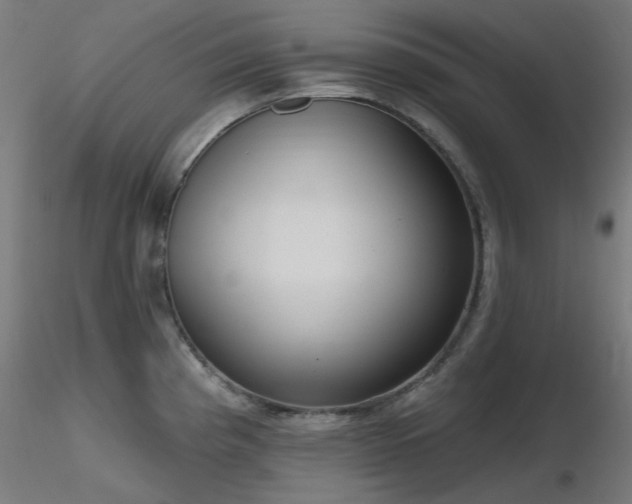 X0000116771193200912171526