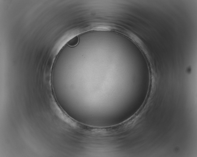 X0000116771194200912171526