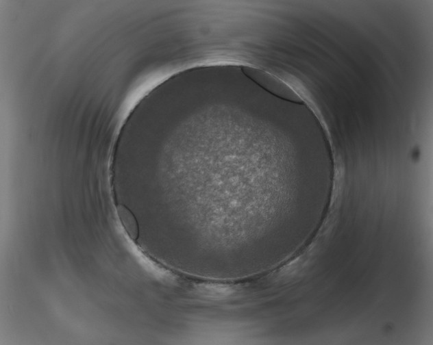 X0000116771197200912171526