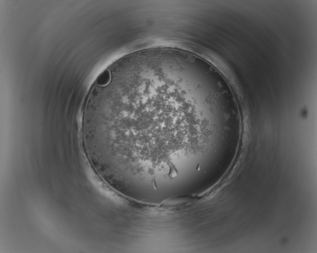 X0000116771198200912171526