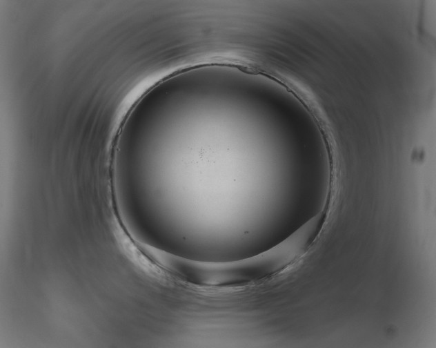 X0000116771200200912171526