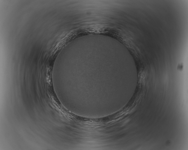 X0000116771202200912171525