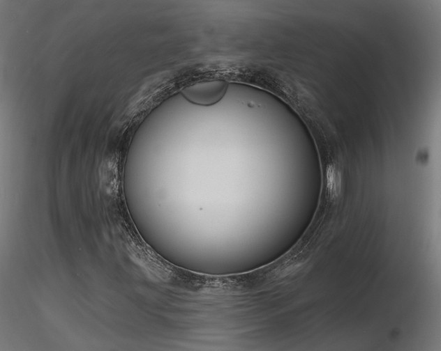 X0000116771203200912171525