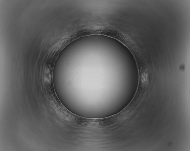 X0000116771204200912171525
