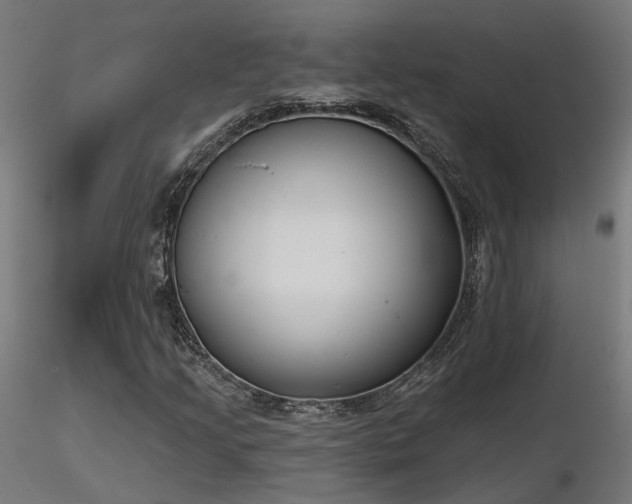 X0000116771205200912171525