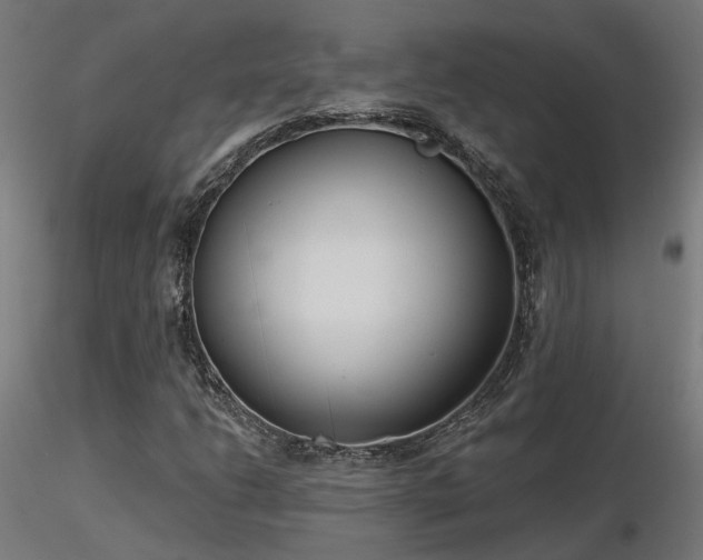X0000116771206200912171525