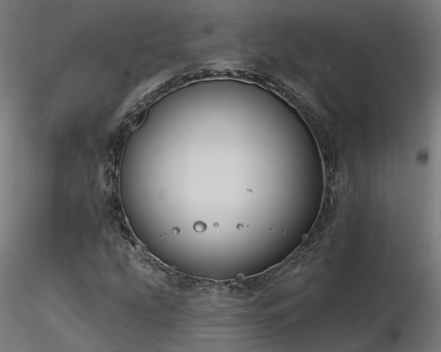 X0000116771207200912171525
