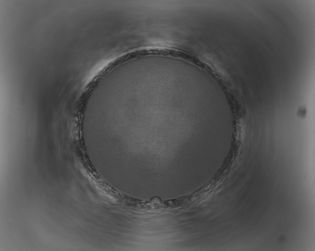 X0000116771208200912171525