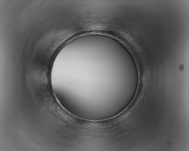X0000116771209200912171525
