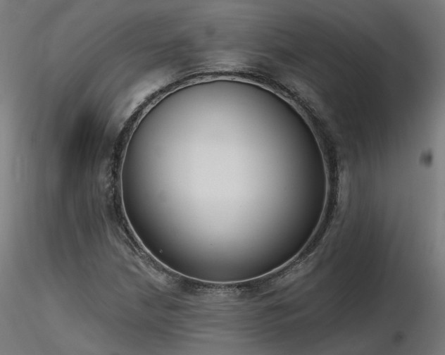 X0000116771210200912171525