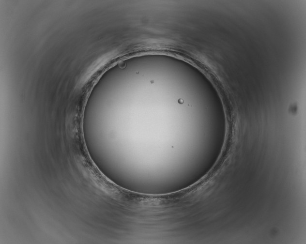 X0000116771211200912171525