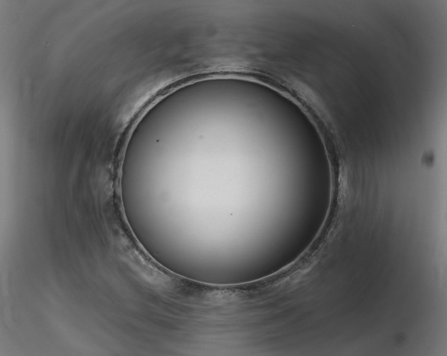 X0000116771212200912171525