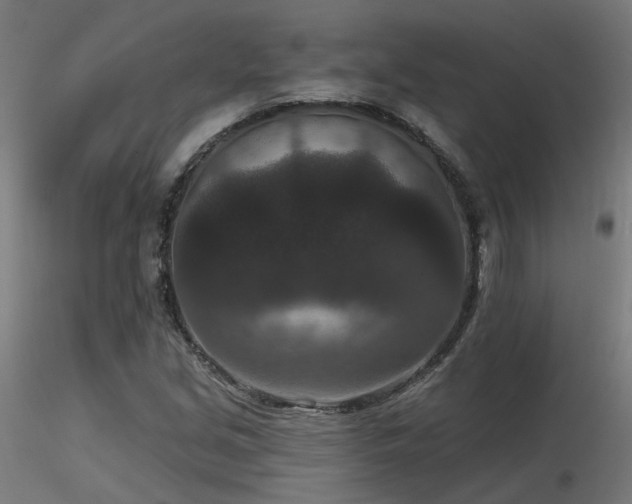 X0000116771213200912171525