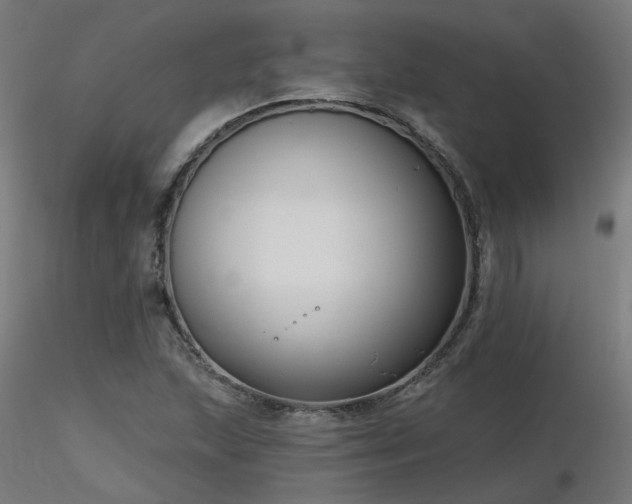 X0000116771215200912171525