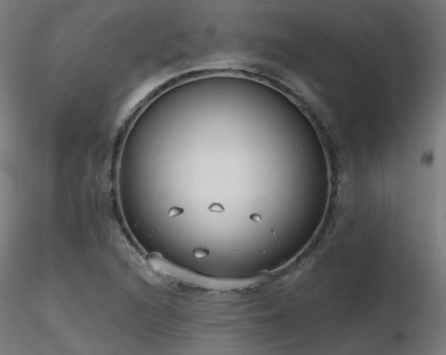 X0000116771216200912171525