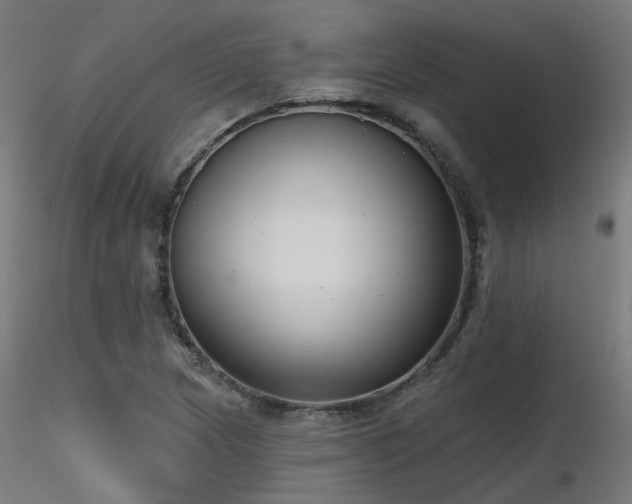 X0000116771217200912171526