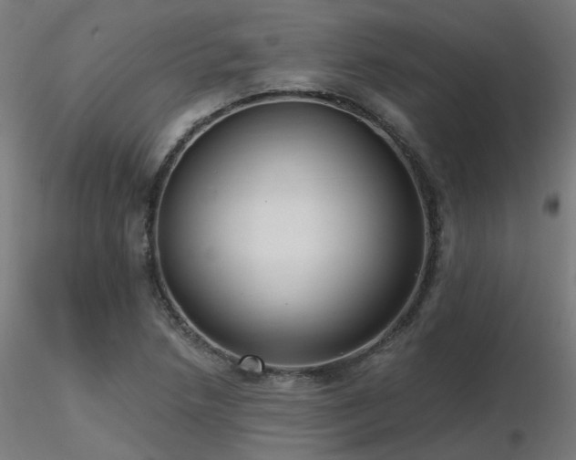 X0000116771218200912171526