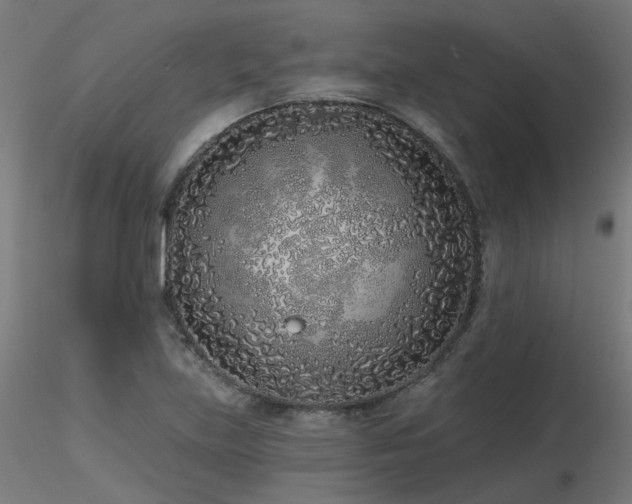 X0000116771219200912171526