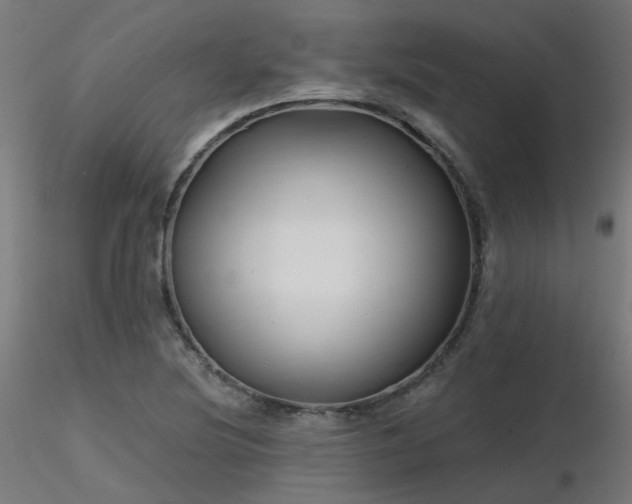X0000116771220200912171526