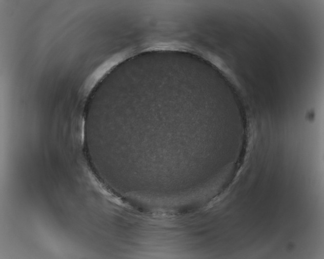 X0000116771221200912171526