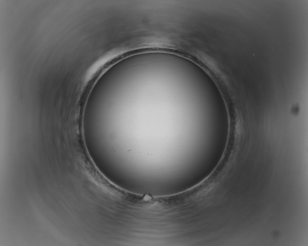 X0000116771222200912171526