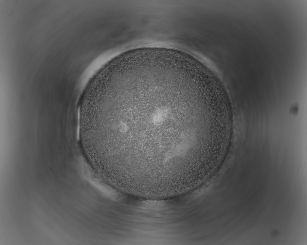 X0000116771223200912171526