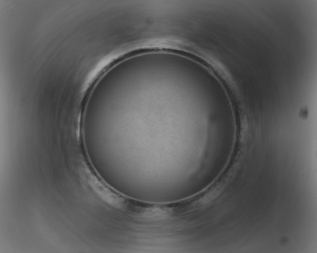 X0000116771224200912171526