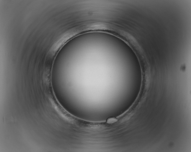 X0000116771225200912171526
