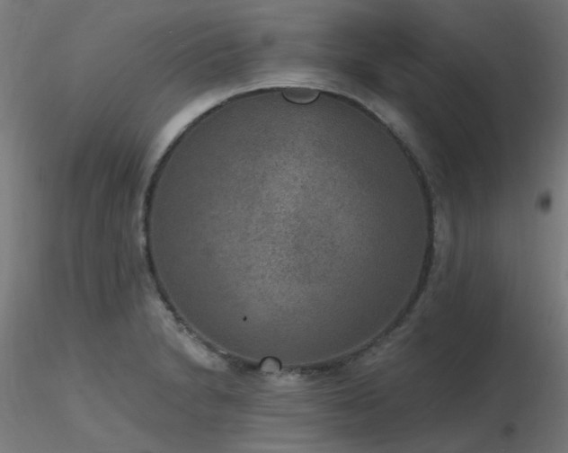 X0000116771230200912171526