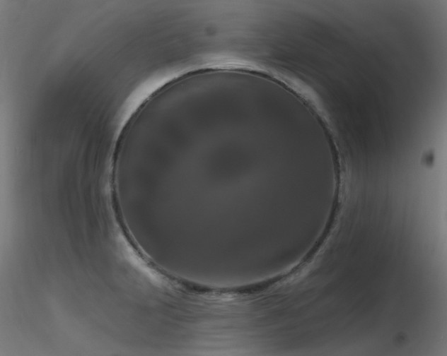 X0000116771231200912171526
