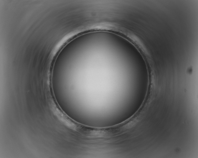X0000116771232200912171526