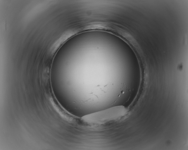 X0000116771233200912171526