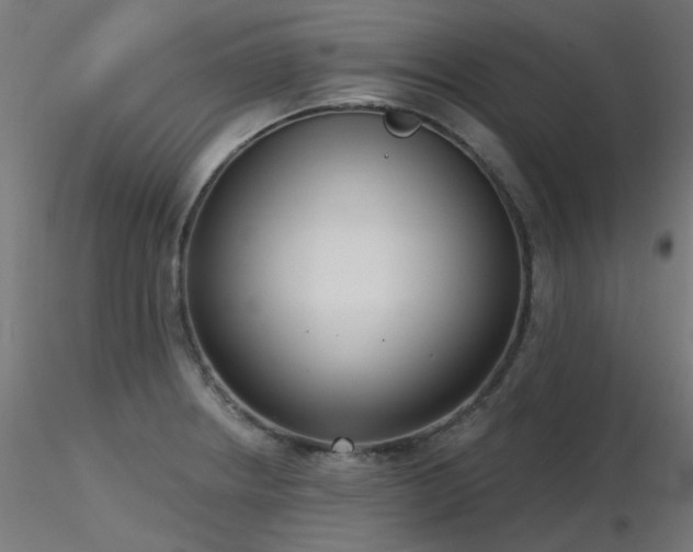 X0000116771234200912171526
