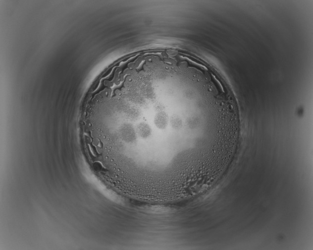 X0000116771235200912171526