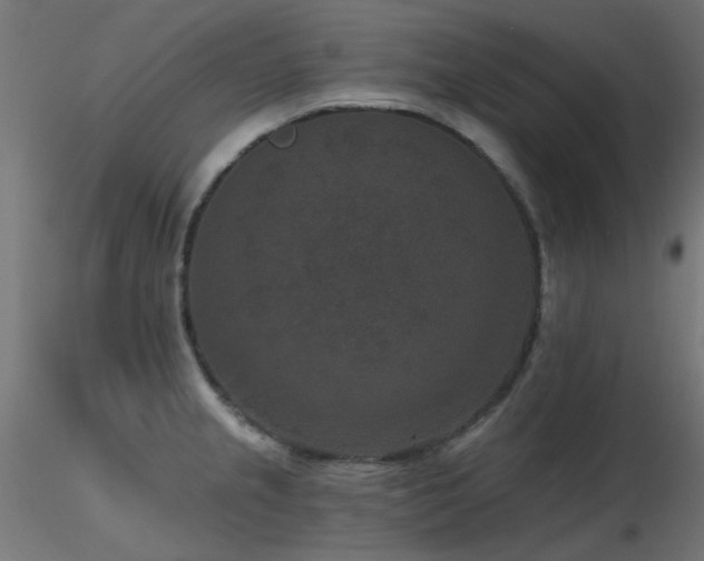 X0000116771237200912171526