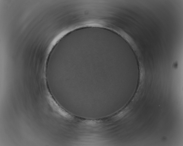 X0000116771240200912171526