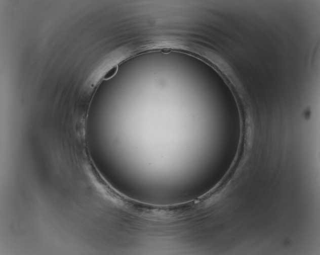 X0000116771241200912171526