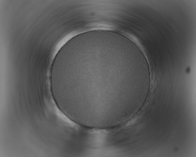 X0000116771243200912171526
