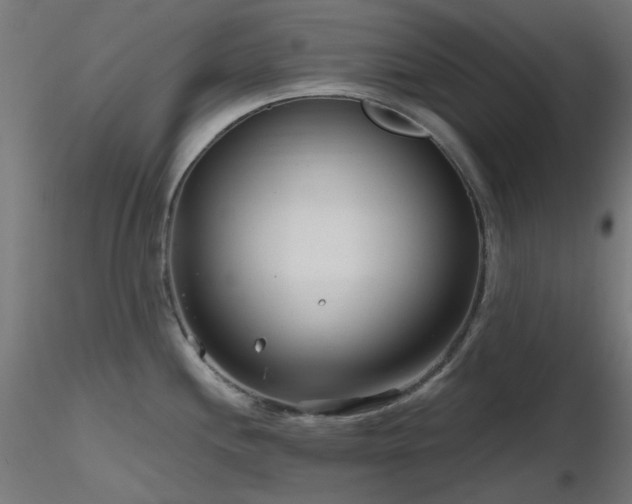 X0000116771244200912171526