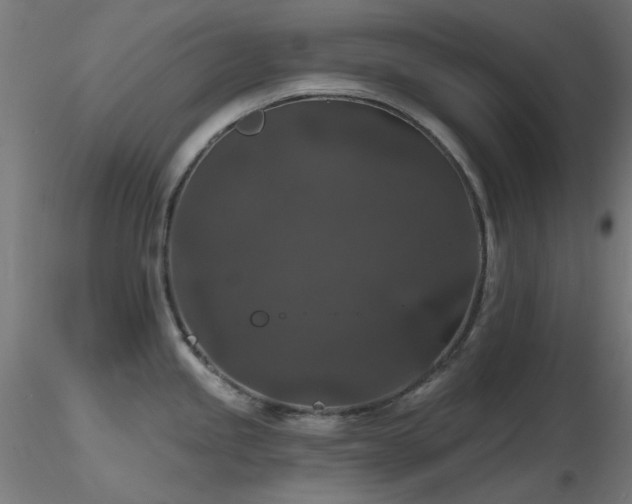 X0000116771245200912171526