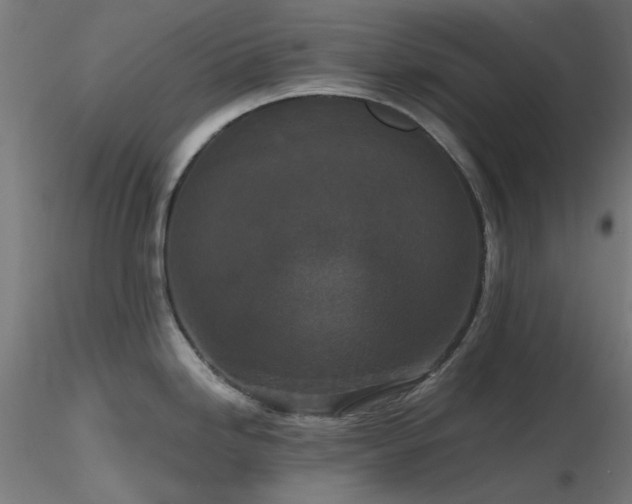 X0000116771246200912171526