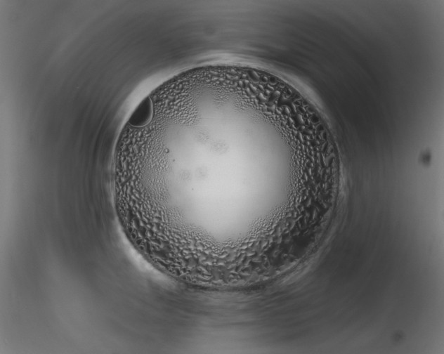 X0000116771247200912171526